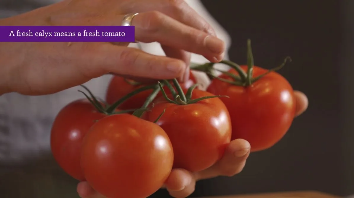 freshcalyx