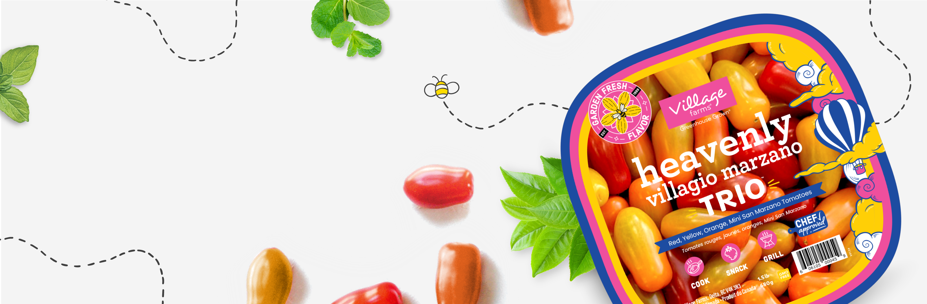 <br><b>TRIO</b></br>